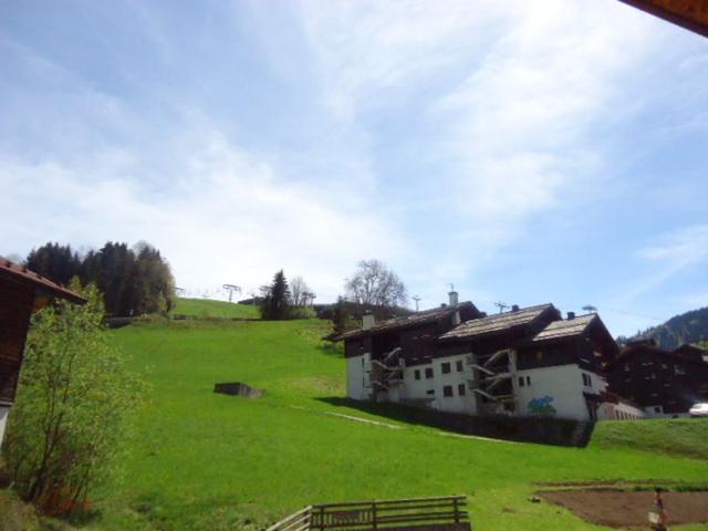 Ski-in, renovated duplex 4 BR, terrace, fireplace, all comfort FR-1-459-22 - La Clusaz