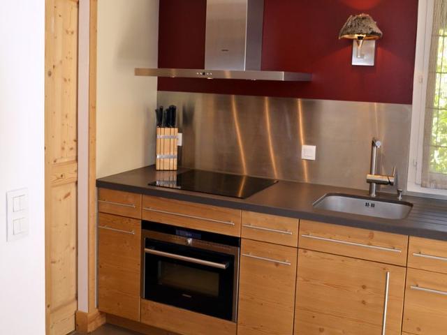 Ski-in, renovated duplex 4 BR, terrace, fireplace, all comfort FR-1-459-22 - La Clusaz