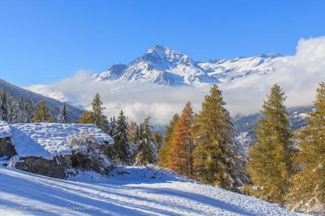 Apartements Balcons C 025 - PARC NAT. VANOISE appart. 6 pers. - Val Cenis Termignon