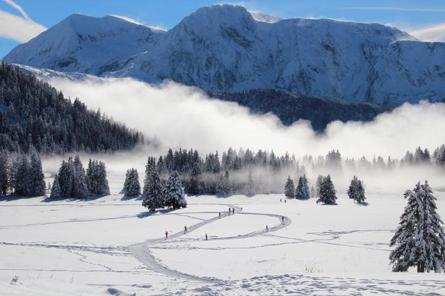 Apartements Chartreuse 1 036-FAMILLE & MONTAGNE appart. 6 pers - Chamrousse