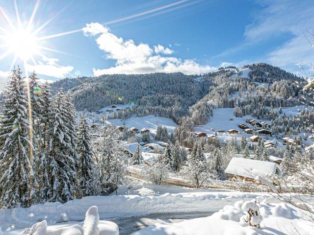 CHALET LE GARNI D'ELISA - La Clusaz