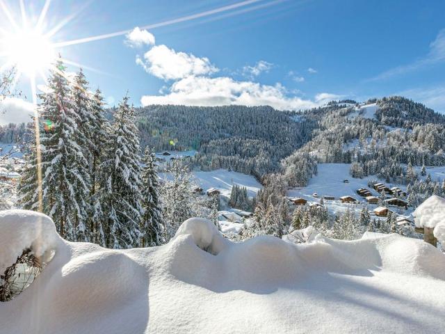 CHALET LE GARNI D'ELISA - La Clusaz