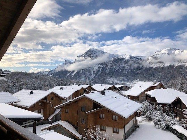 CHALET ELINE - Les Carroz d'Araches