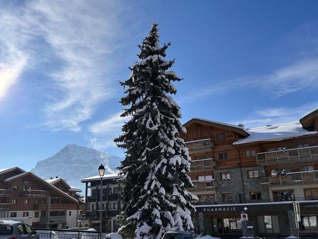 CHALET ELINE - Les Carroz d'Araches