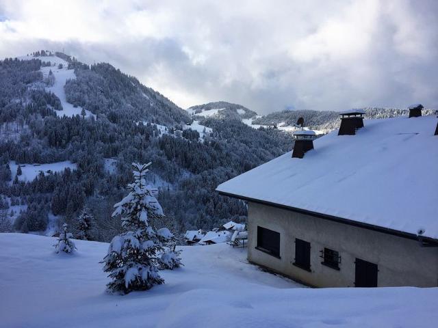 Charming Renovated 3-Room Apartment with Terrace, Near Ski Slopes – La Clusaz FR-1-459-28 - La Clusaz
