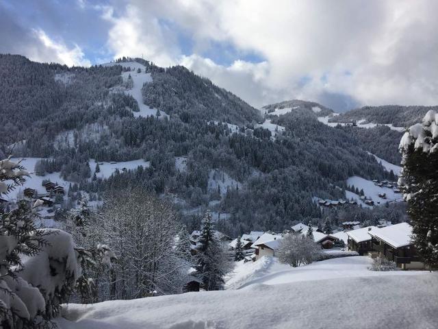 Charming Renovated 3-Room Apartment with Terrace, Near Ski Slopes – La Clusaz FR-1-459-28 - La Clusaz