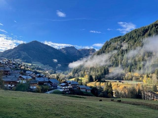 CHALET L'ALPAGA D - Châtel