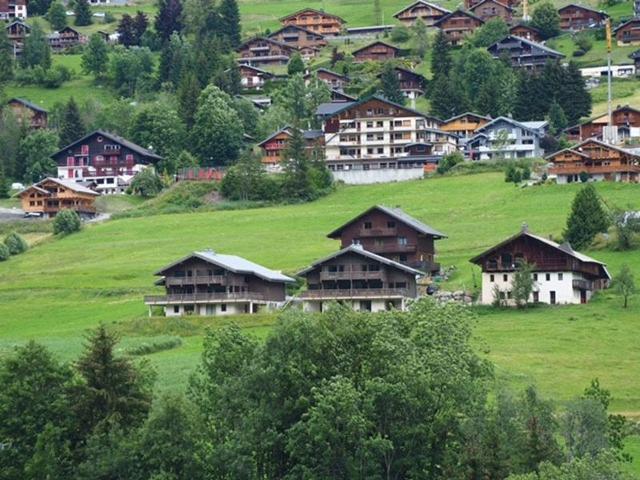 CHALET L'ALPAGA D - Châtel