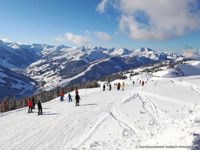 Apartment Luftbichl (SLB130) - Saalbach Hinterglemm