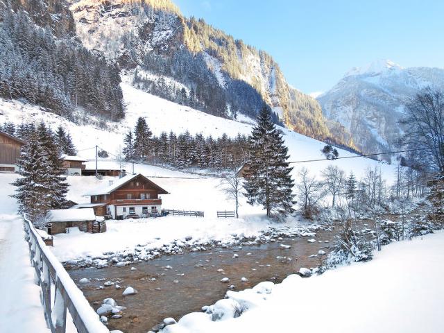 Apartment Farm Eben (MHO480) - Mayrhofen