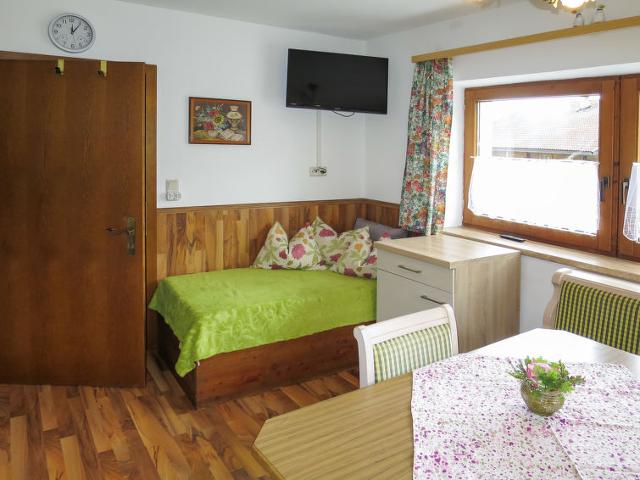Apartment Brugger (MHO546) - Mayrhofen