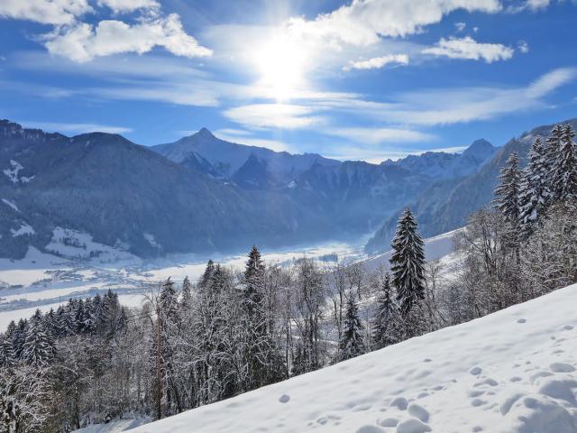 Apartment Unterbrunner (MHO785) - Mayrhofen