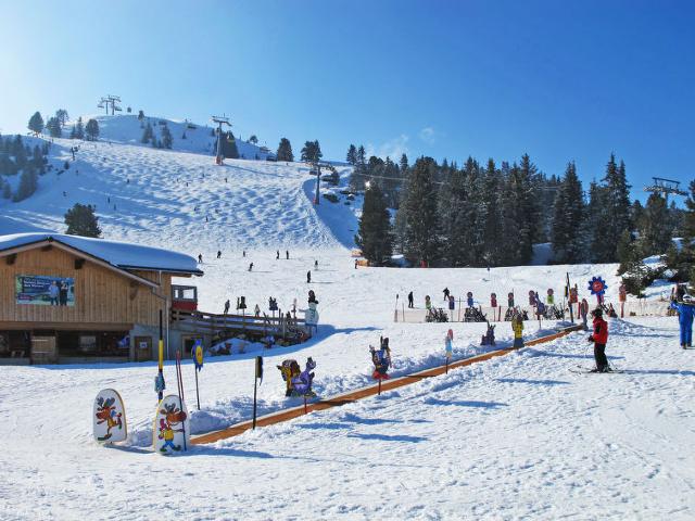 Apartment Edelweiss (MHO527) - Mayrhofen