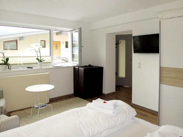 Apartment Tamerl (MHO160) - Mayrhofen