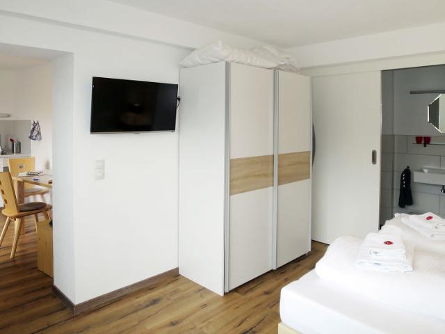 Apartment Tamerl (MHO160) - Mayrhofen