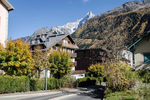 Apartements ROCHES BLANCHES - Chamonix Centre
