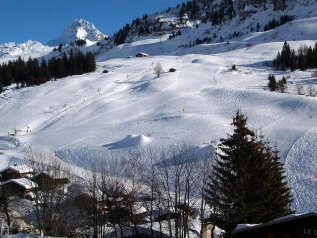 Pleasant studio + mountain corner for 4 people, quiet area, balcony, parking FR-1-458-111 - Le Grand Bornand