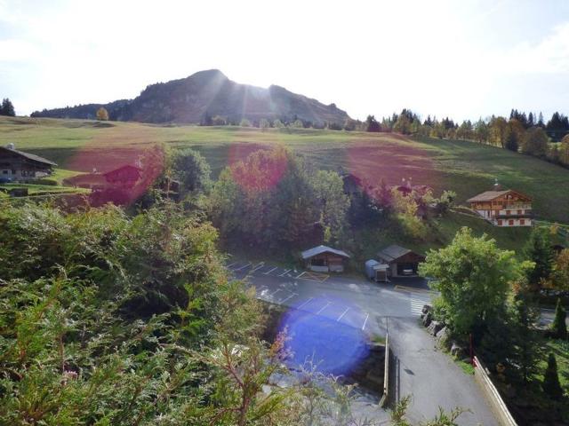 Modern 2BR + Mountain Alcove, 43m², Garage - Sleeps 6, Near Ski Slopes and Shops FR-1-458-142 - Le Grand Bornand