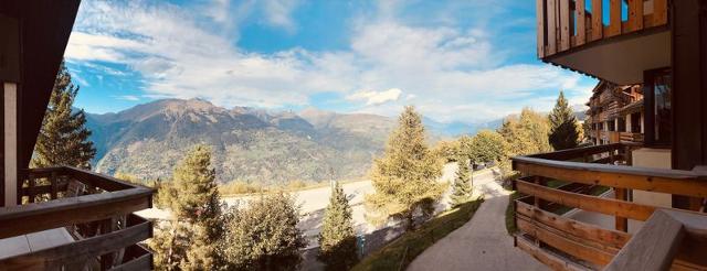Apartements LES CHOUCAS - Plagne Montalbert