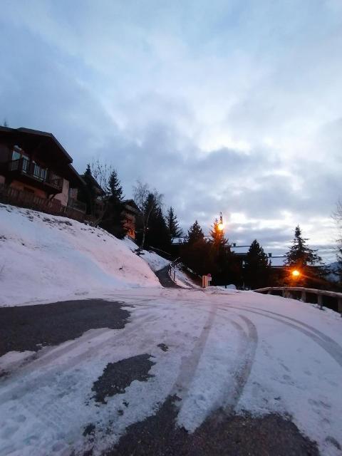 LES CHALETS DU PLANAY - Plagne Montalbert