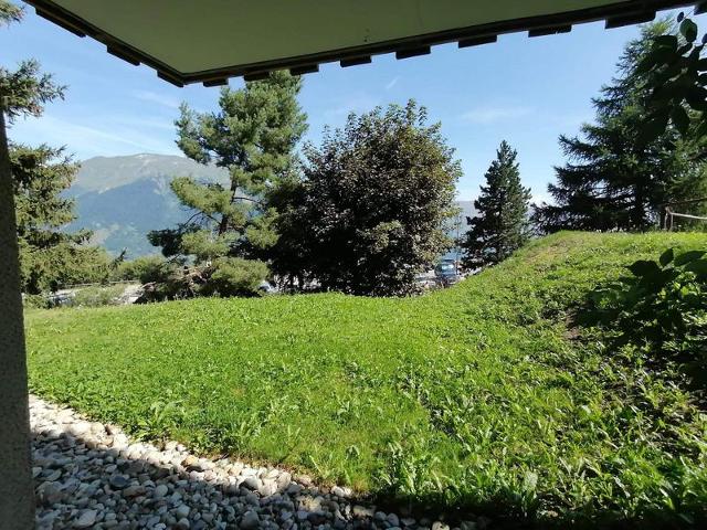 Apartements LES CHOUCAS - Plagne Montalbert
