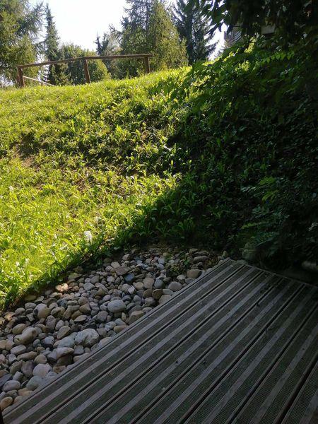 Apartements LES CHOUCAS - Plagne Montalbert