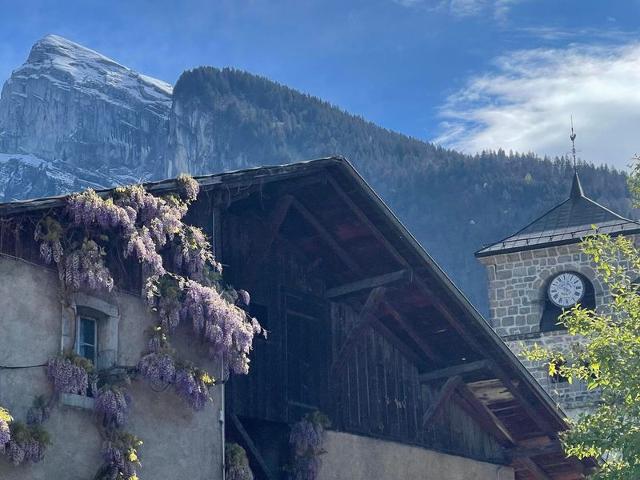Charming 2-Bedroom Apartment with Terrace, Heart of Samoëns, Ski Bus 50m FR-1-624-16 - Samoëns