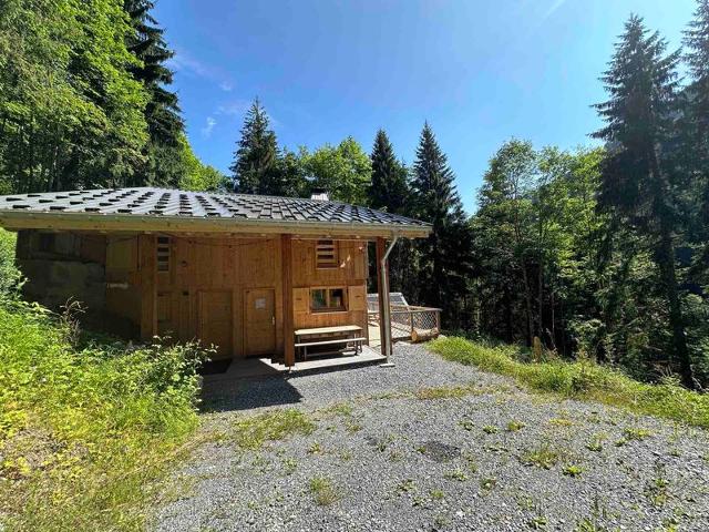 CHALET DU NANT D'ANT - Samoëns
