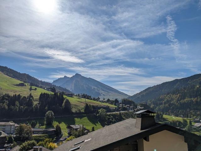 Renovated Apartment in Village Center with Garage and Balcony FR-1-459-178 - La Clusaz
