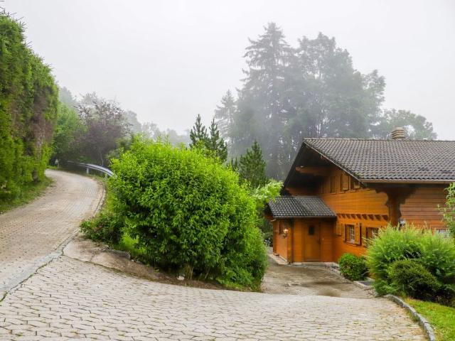 Châlet Chalet Les Pommiers - Villars - sur - Ollons 