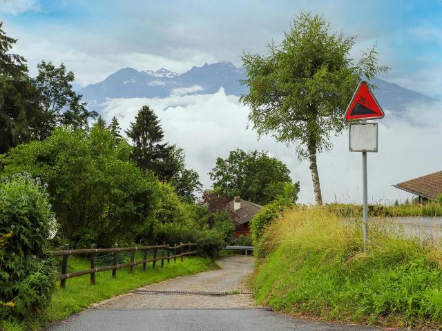 Châlet Chalet Les Pommiers - Villars - sur - Ollons