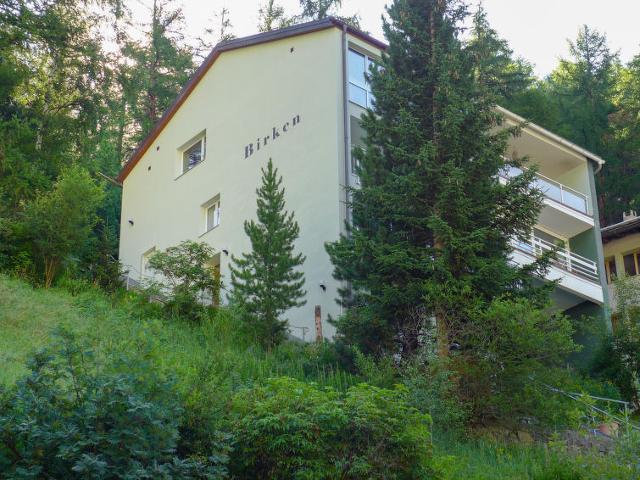 Châlet Birken - Zermatt