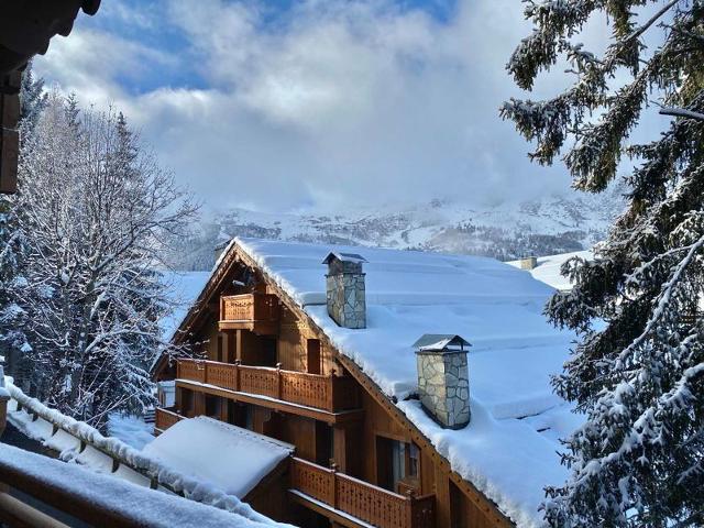 Apartements PARC ALPIN - Méribel Centre 1600