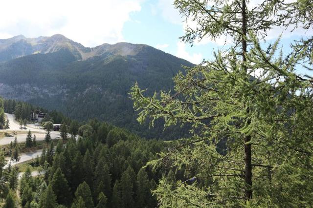 Appartment Le Belvedere 293 - Les Orres