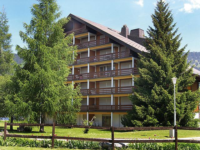 Apartment Grenat 8 - Villars - sur - Ollons