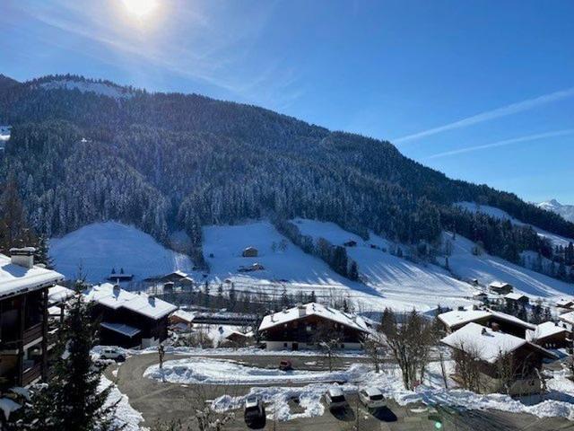 Résidence MILLEPERTUIS B - Le Grand Bornand