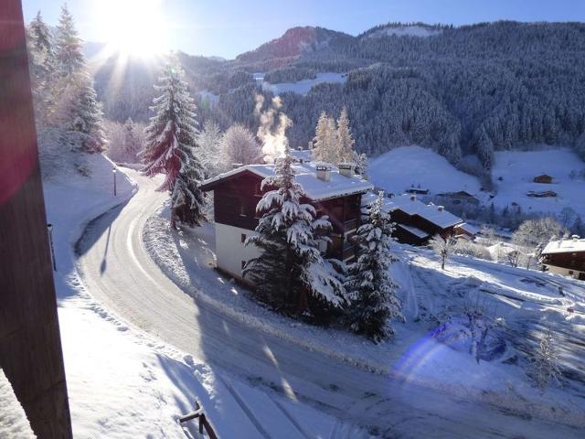 Résidence MILLEPERTUIS B - Le Grand Bornand