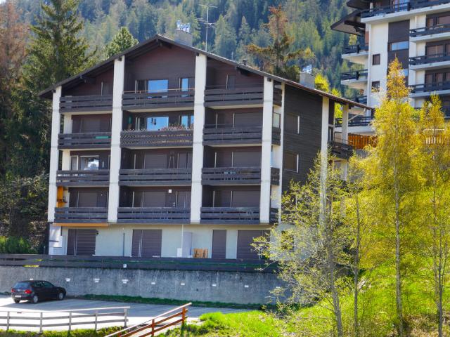 Apartment Prameiraz 10 - Nendaz