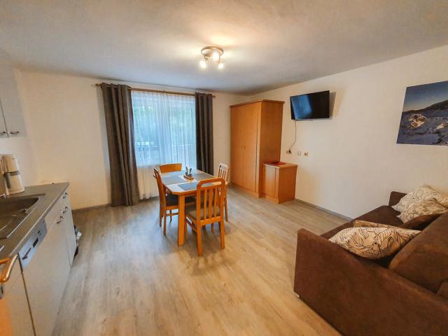 Apartment Top 2 - Saalbach Hinterglemm