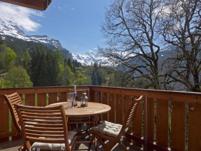 Apartment Racer’s Retreat - Wengen
