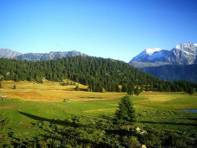 Résidence LES MYRTILLES - Chamrousse