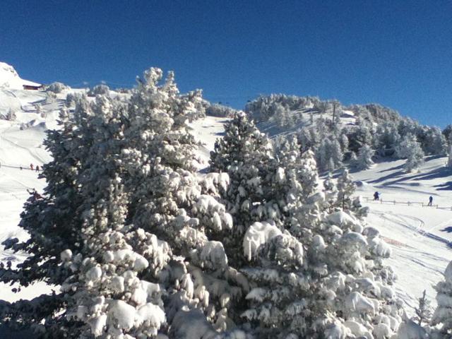 Résidence VIL.BACHAT AROLLES - Chamrousse