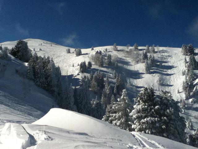 CHALET DE BELLEDONNE - Chamrousse