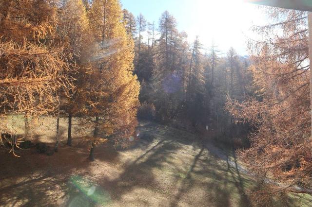 Appartment Le Silhourais 345 - Les Orres