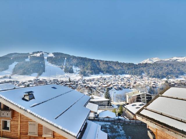 Charming apartment in Morzine, 2 bedrooms, balcony, parking FR-1-684-12 - Morzine