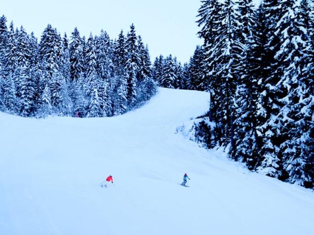 Charming Apartment for Family Vacations in Courchevel Village FR-1-575-9 - Courchevel 1550