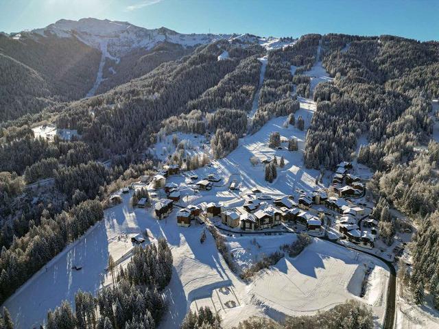 Cozy 2-Room Mezzanine Apartment Near Slopes, Morillon 1100, Sleeps 6 FR-1-412-71 - Morillon 1100 Les Esserts