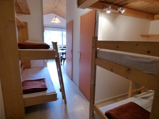 Bright studio + mountain area, 4 pers, Samance, Le Grand-Bornand FR-1-458-173 - Le Grand Bornand