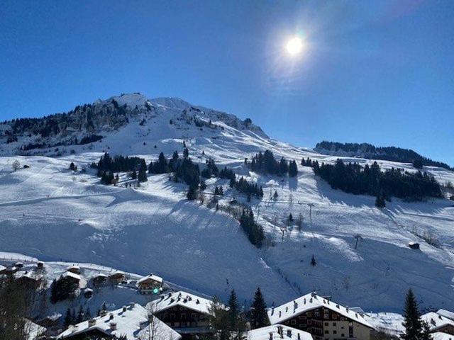 Bright studio + mountain area, 4 pers, Samance, Le Grand-Bornand FR-1-458-173 - Le Grand Bornand