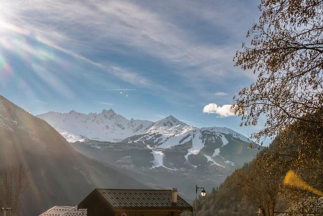 Apartements LE GRAND BOUQUETIN - Plagne - Champagny en Vanoise